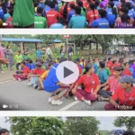 KORBA:एकलव्य आदर्श आवासीय विद्यालय छुरीकला में छात्रों का फूटा गुस्सा, प्राचार्य को हटाने की मांग पर हाईवे जाम; लिखित आश्वासन के बाद खत्म हुआ आंदोलन